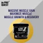 prd_2824733-Proquest-Lean-Mass-11-lb-Milk-Chocolate_o