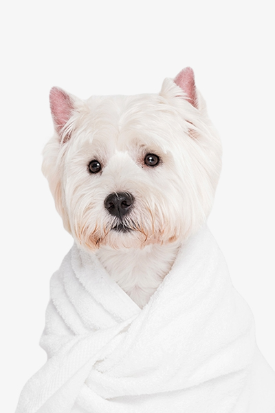 Pet Towel 2